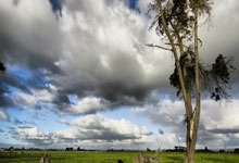 葡萄牙vs丹麦首发阵容会有哪些看点？